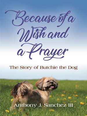 cover image of BECAUSE OF a WISH AND a PRAYER